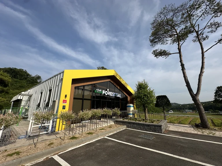 더포레스트테일