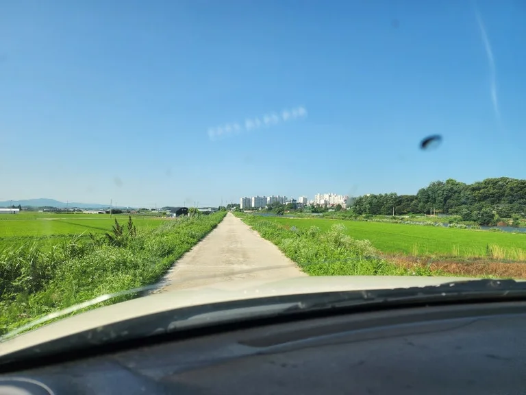 카페팜농노리