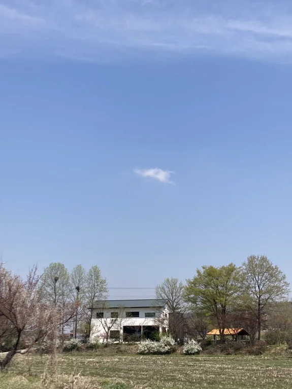 카페 슬루프