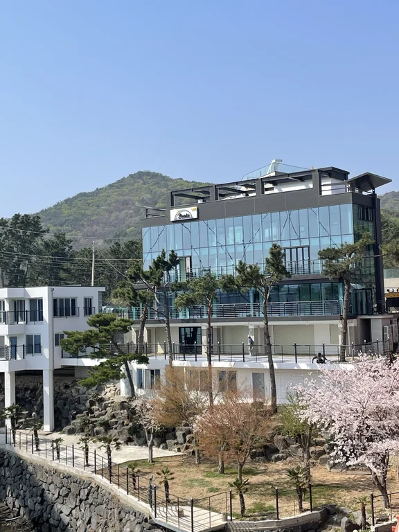 폰테카페