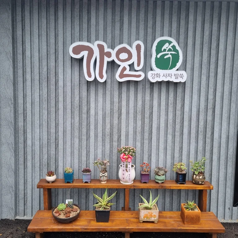 가인좌훈앤카페