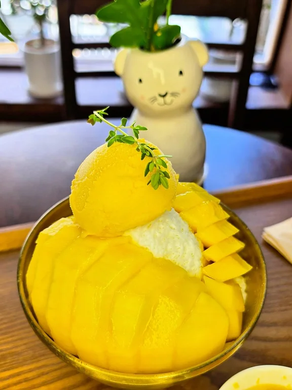 카페 소메이
