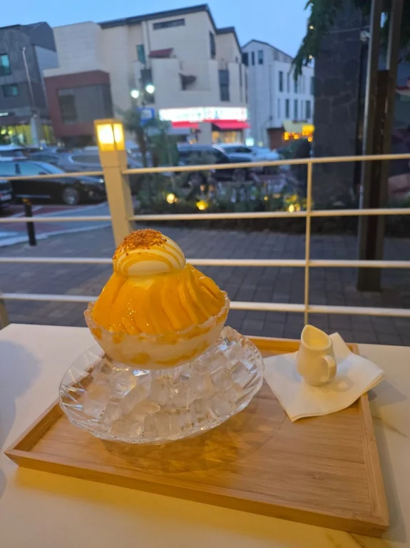 카페인그레이스