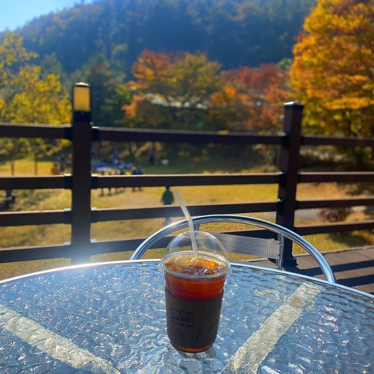 배티쉼터