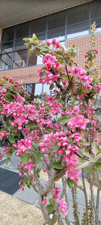 카페 남산