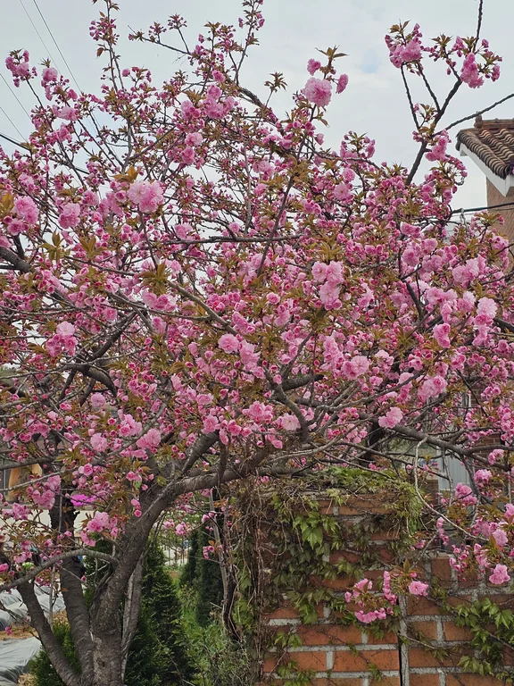 그래비티 안성 원곡점