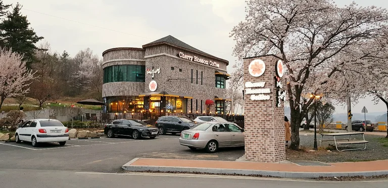 체리블라썸