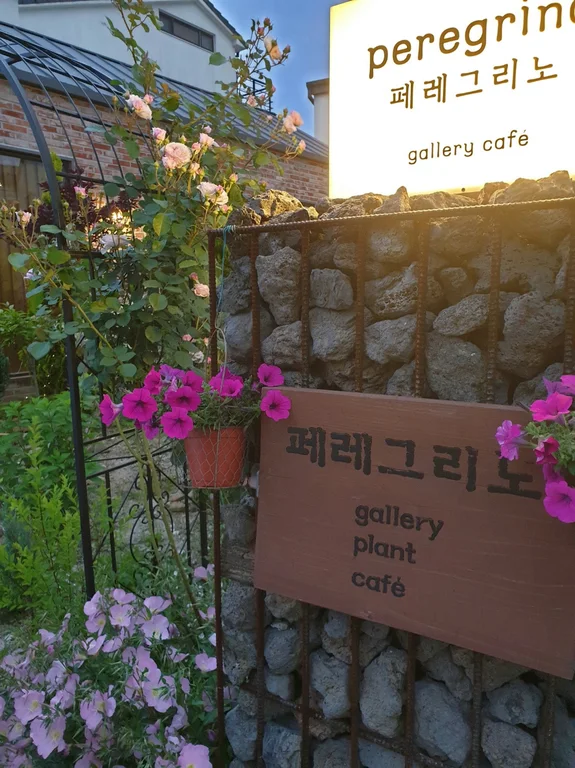 페레그리노