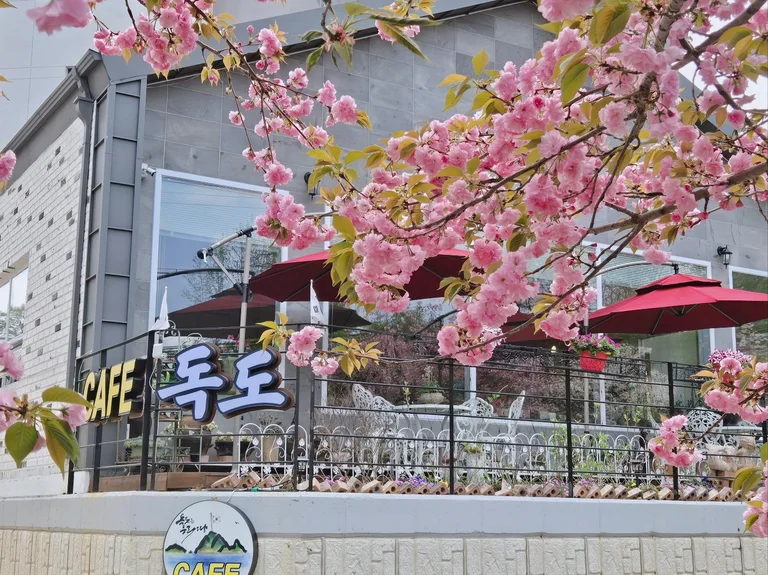 독도카페