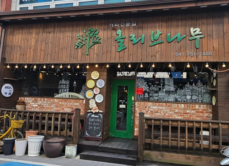 올리브나무