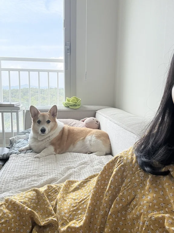 대만정카스테라 평거점