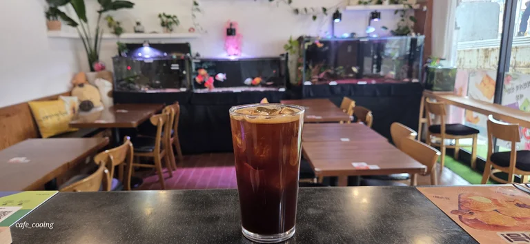 카페쿠잉