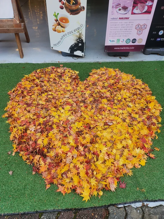 카페마루