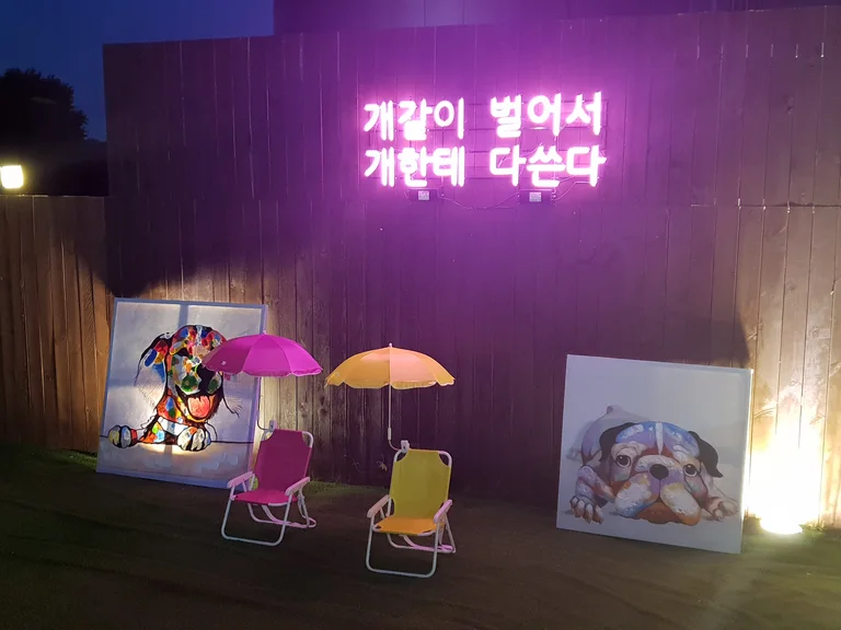 워시웨이 도그카페