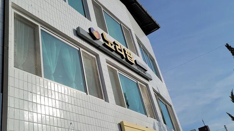 노리팝