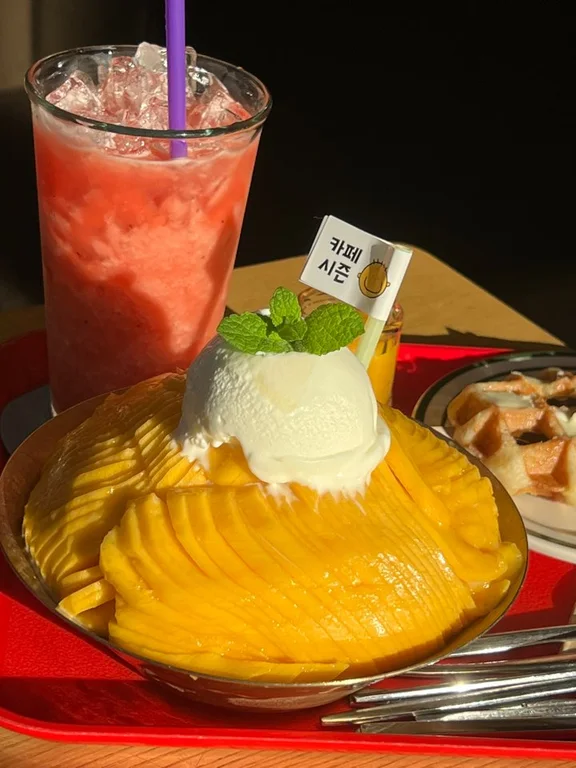 시즌카페