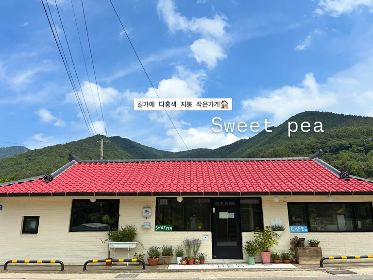 스위트피