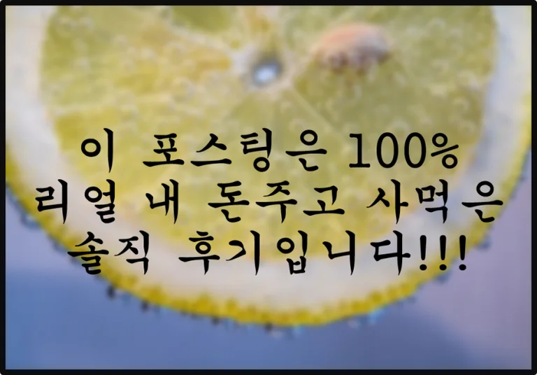 마카롱이야기