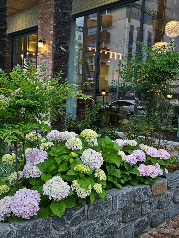 아늑한