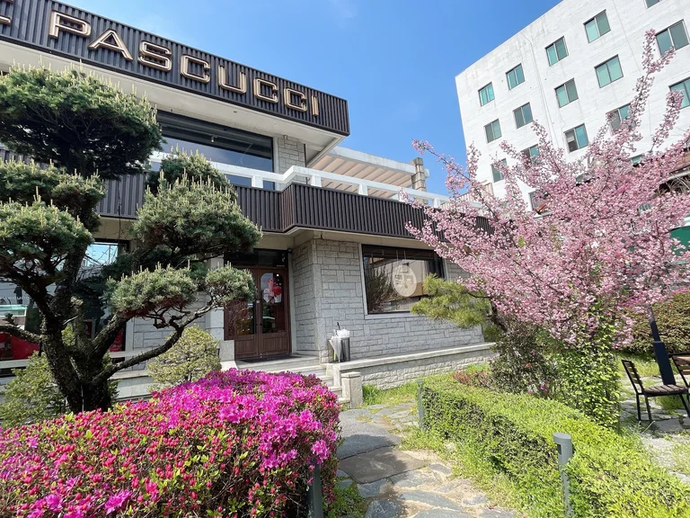 파스쿠찌 대전석교DI점