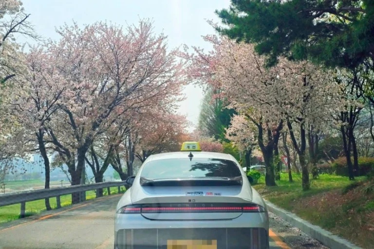 깨비다방 깨비호떡