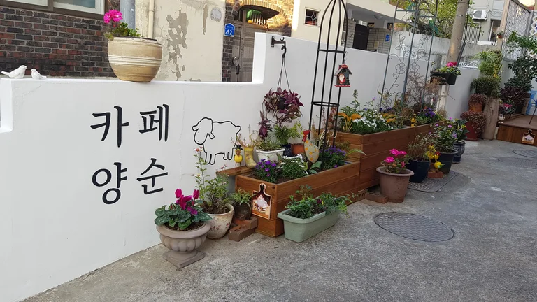 카페양순