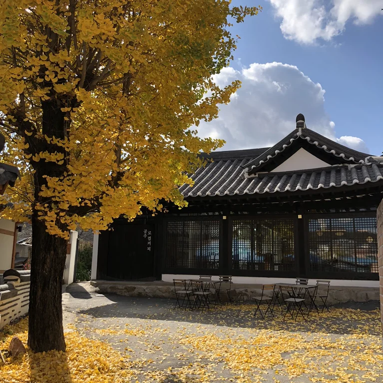 로컬커피