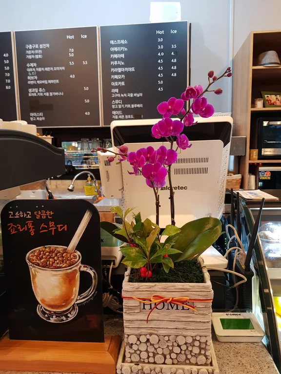 에스타디오