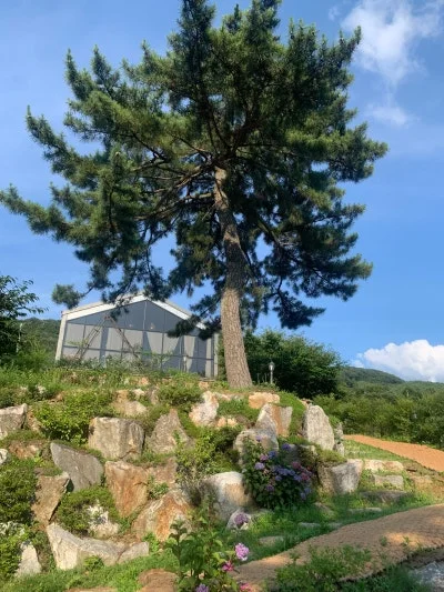 바티안