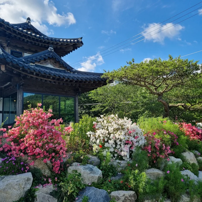 연리지