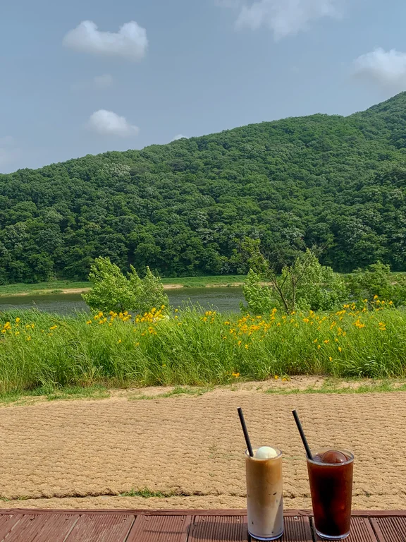 디그린