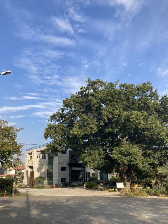 아르볼그란데366
