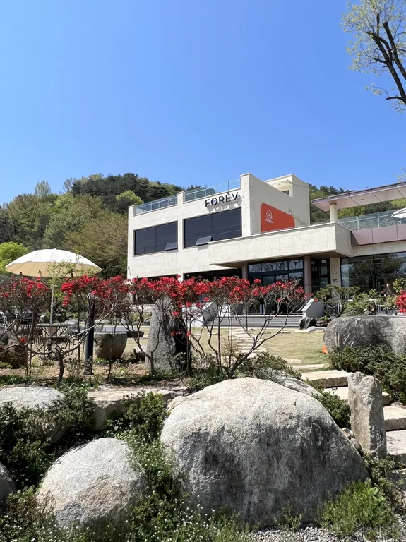 상사포레브