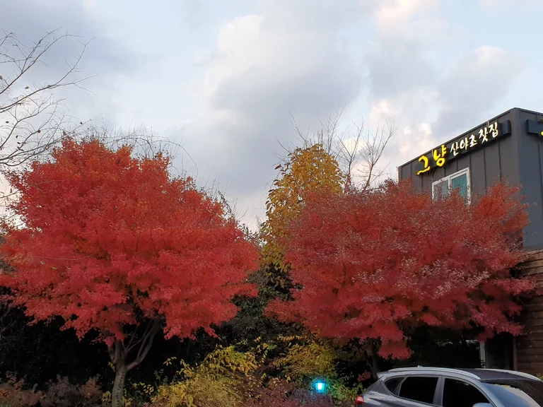 그냥 산야초찻집