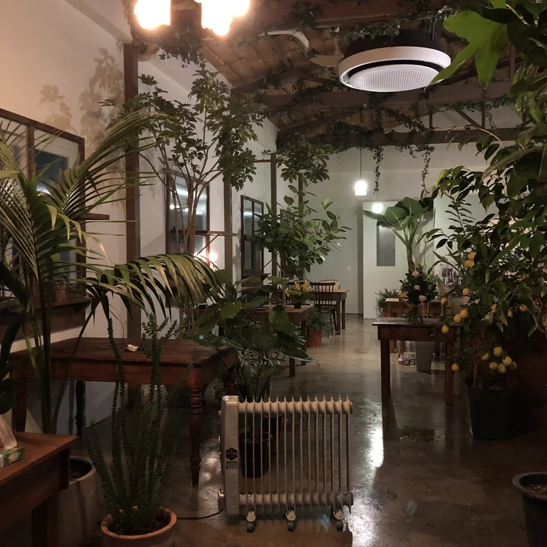 비밀정원