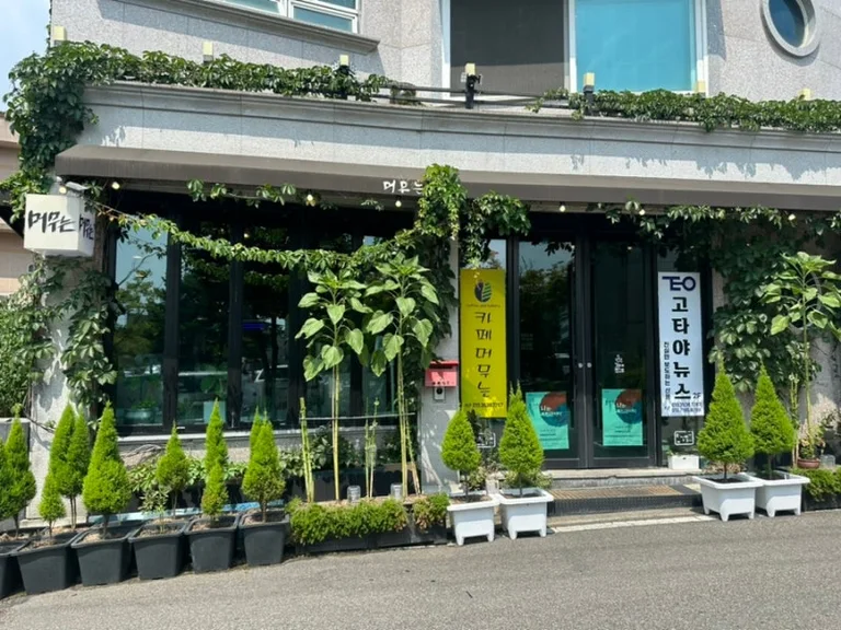 머무는