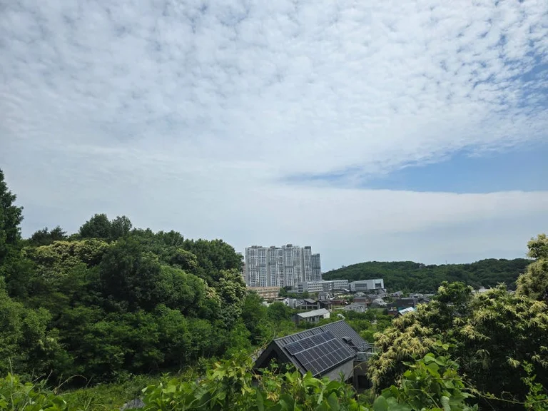 카페그리너리