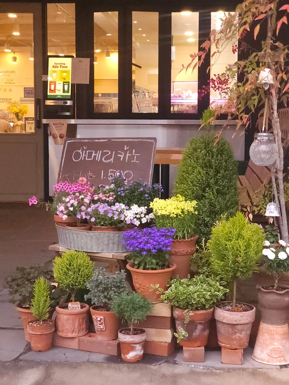 커피베이익스프레스 경국대점