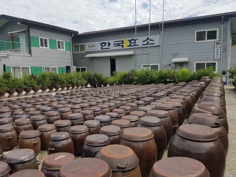 발효명가