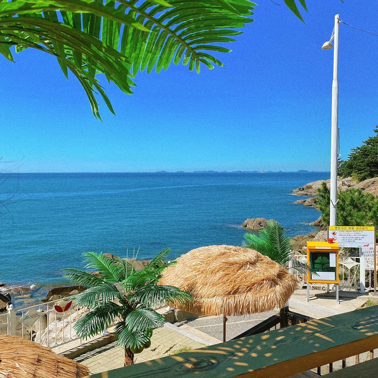죽도보물섬 카페