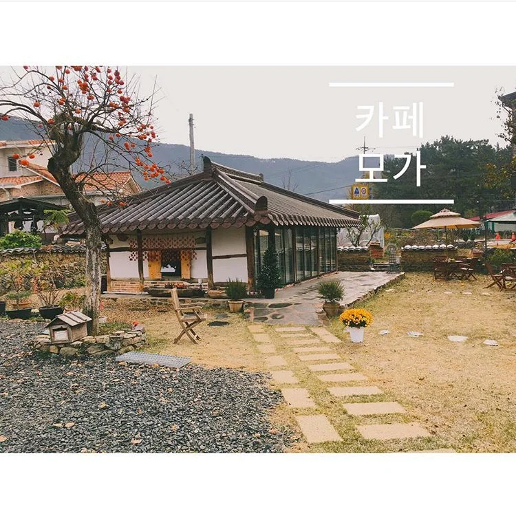 카페 모가