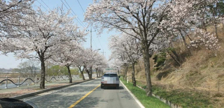 폴라리스