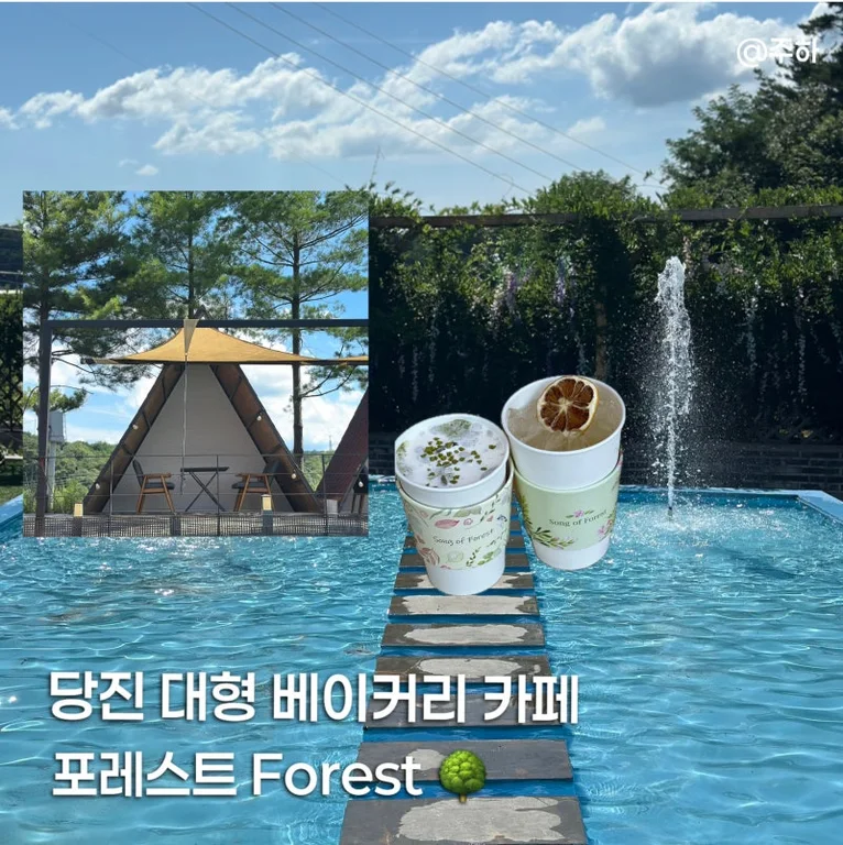 포레스트