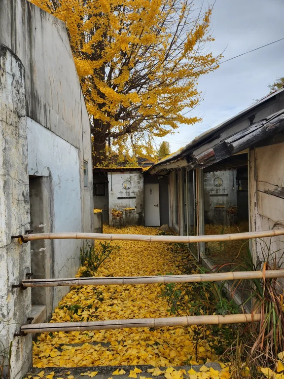수월옥