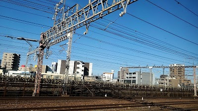 Matsuyama Kamejima