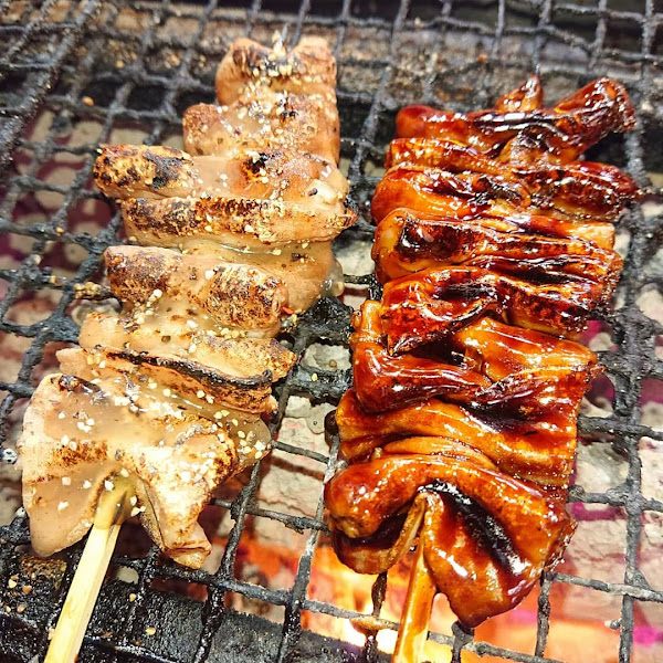테리쿠시 6
