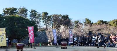 名古屋城 36
