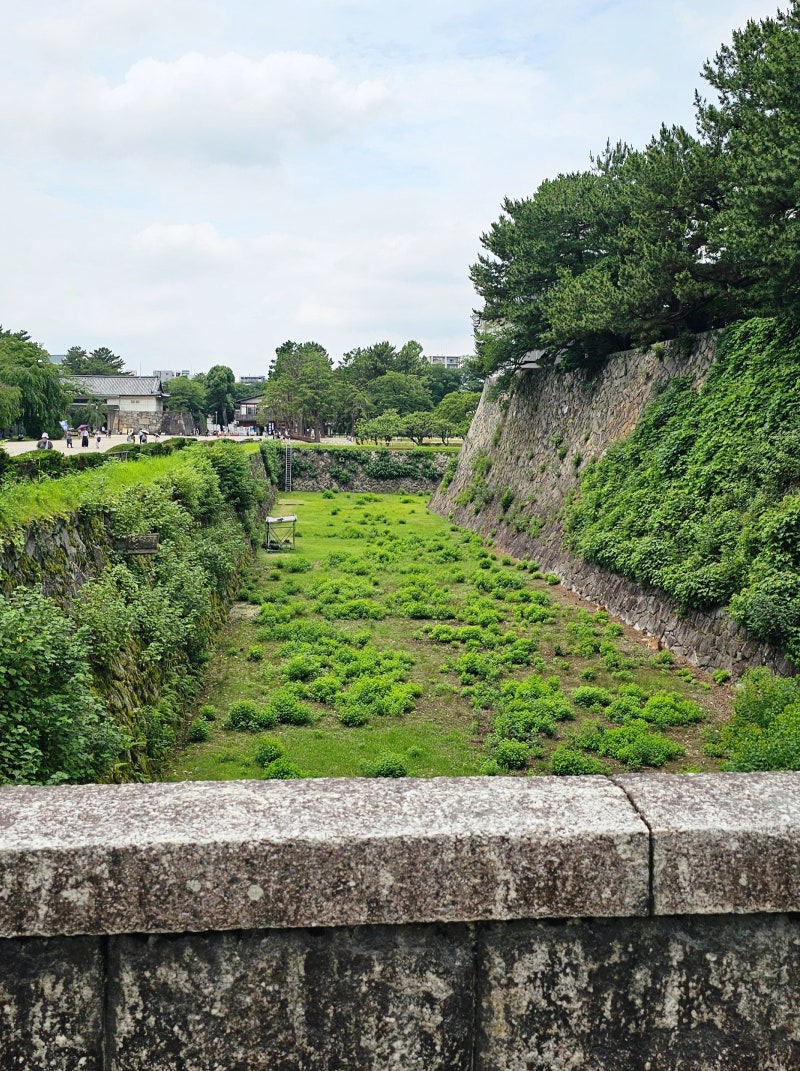 名古屋城 9