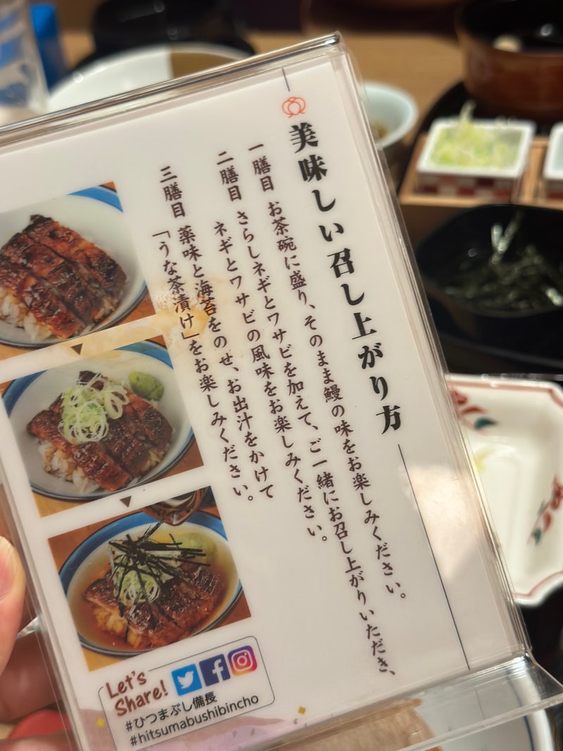 Hitsumabushi Nagoya Bincho 4