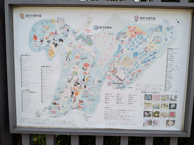 후쿠오카시 식물원 사진 3